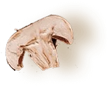slider_shape_02